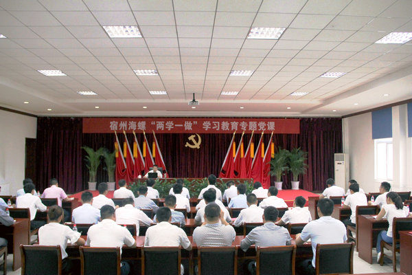 宿州海螺邀请市委党校宋远见教授做“两学一...