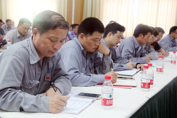 枞阳海螺开展“两学一做”学习教育专题党课