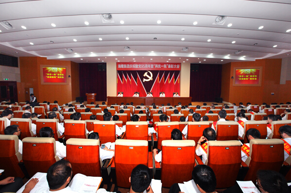 集团公司党委隆重召开庆祝建党95周年暨“...