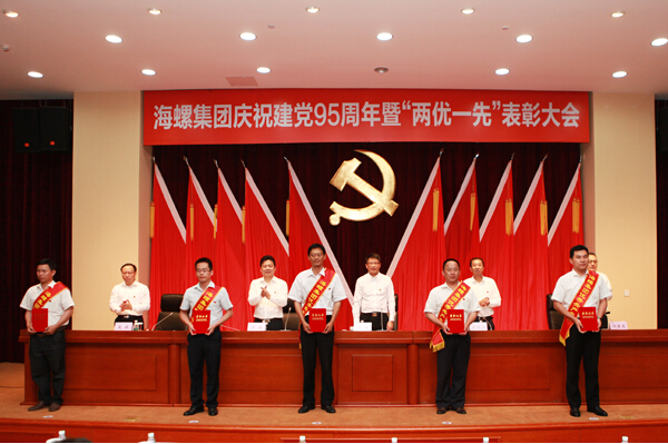 集团公司党委隆重召开庆祝建党95周年暨“...