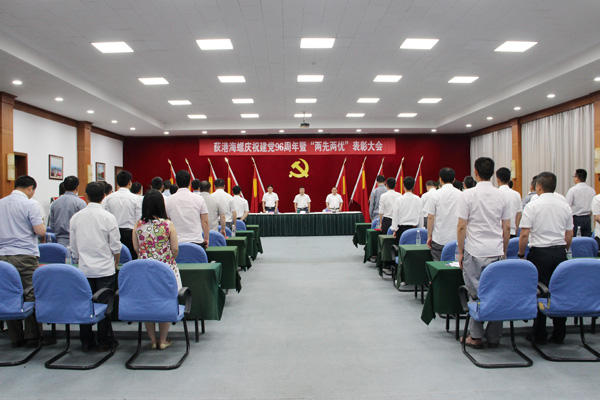 荻港海螺隆重召开庆祝建党96周年暨“两先...