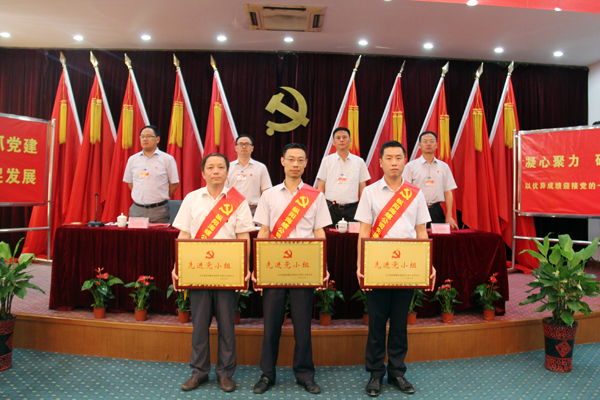 枞阳海螺公司召开庆祝建党96周年暨“七一...