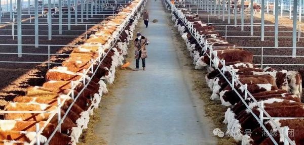 微信图片_20240514095436