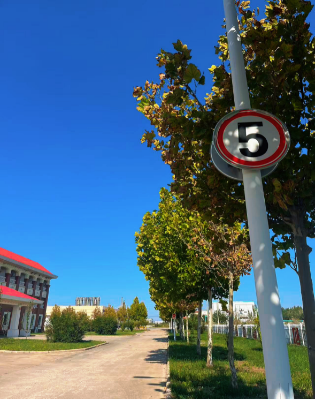 2025051023 海螺新材的秋日画卷(1)(1)159