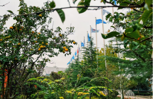 2025051023 海螺新材的秋日画卷(1)(1)186