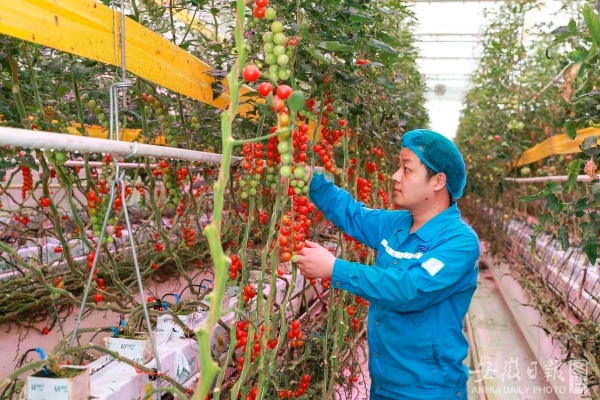 微信图片_20250214140107