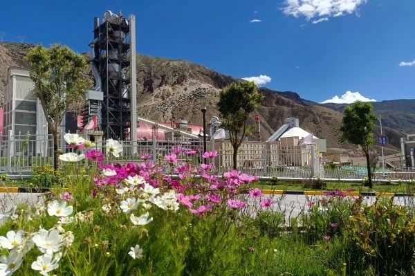 微信图片_20250410103830